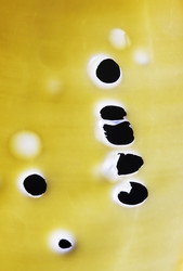 Similar image 1545895