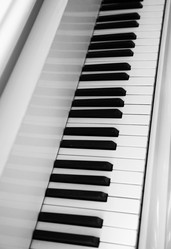 Similar image 1545927