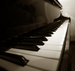 Similar image 1545942