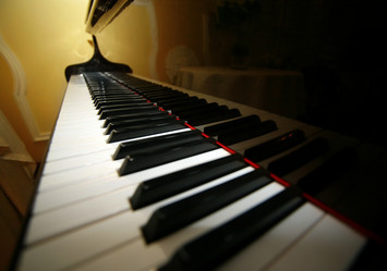 Similar image 1545956