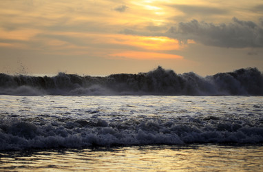 Similar image 1545979