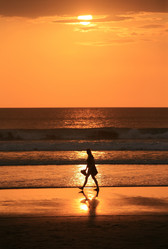 Similar image 1545982