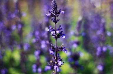 Similar image 1546003