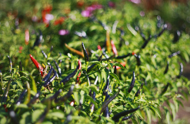 Similar image 1546004