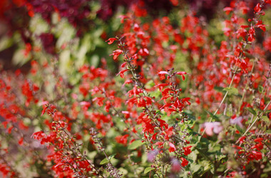 Similar image 1546006