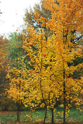 Similar image 1546008