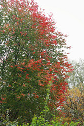 Similar image 1546009