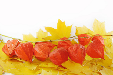 Similar image 1546016