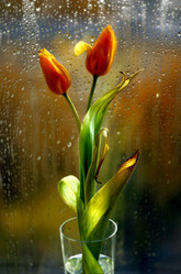 Similar image 1546019