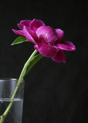 Similar image 1546024