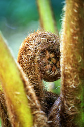 Similar image 1546026