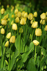 Similar image 1546033