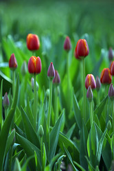 Similar image 1546035