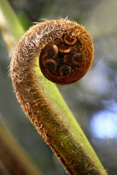 Similar image 1546038