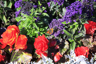 Similar image 1546039