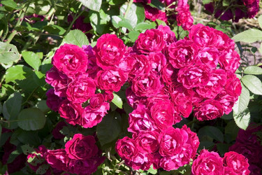 Similar image 1546040