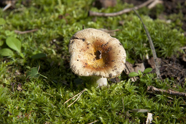 Similar image 1546043