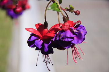 Similar image 1546046