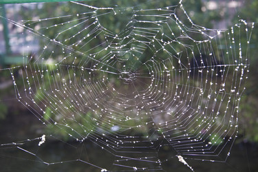 Similar image 1546048