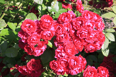 Similar image 1546049