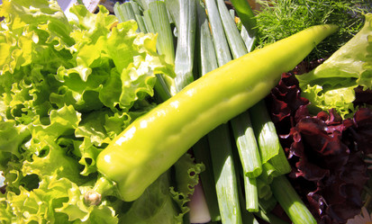 Similar image 1546054