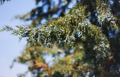 Similar image 1546055