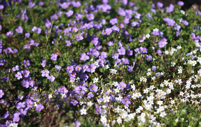 Similar image 1546057