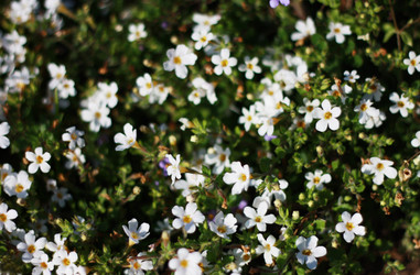 Similar image 1546058