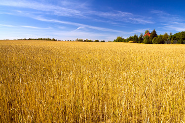 Similar image 1546073