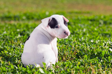 Similar image 1546077