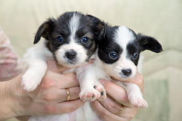 Similar image 1546089