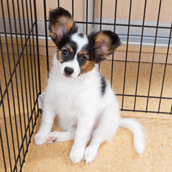 Similar image 1546091