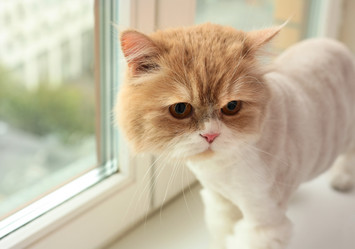 Similar image 1546106