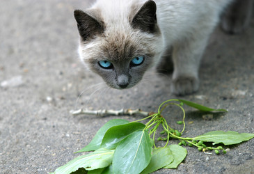 Similar image 1546119