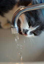 Similar image 1546120