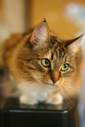 Similar image 1546124