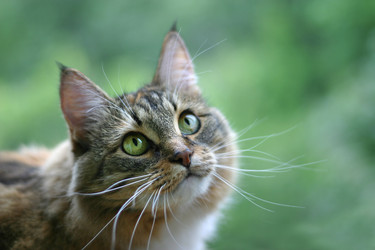 Similar image 1546125