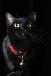 Similar image 1546146