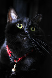 Similar image 1546149