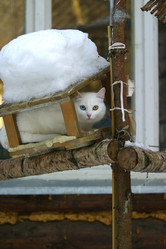 Similar image 1546151