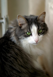 Similar image 1546152