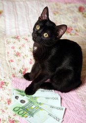 Similar image 1546159