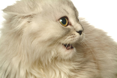 Similar image 1546163