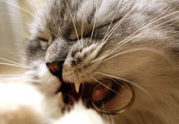 Similar image 1546166