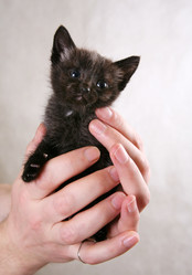 Similar image 1546175