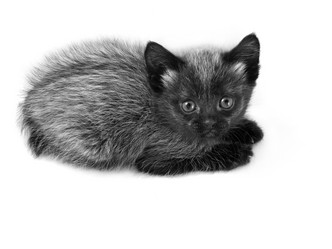 Similar image 1546176