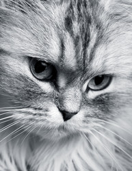 Similar image 1546180