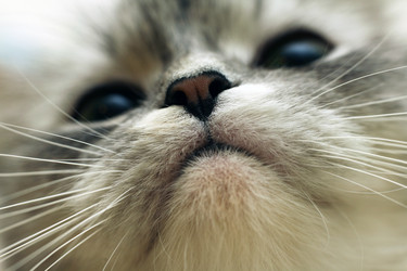 Similar image 1546187