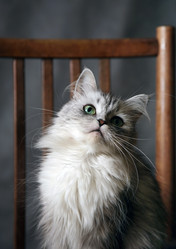 Similar image 1546189