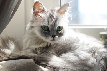 Similar image 1546198